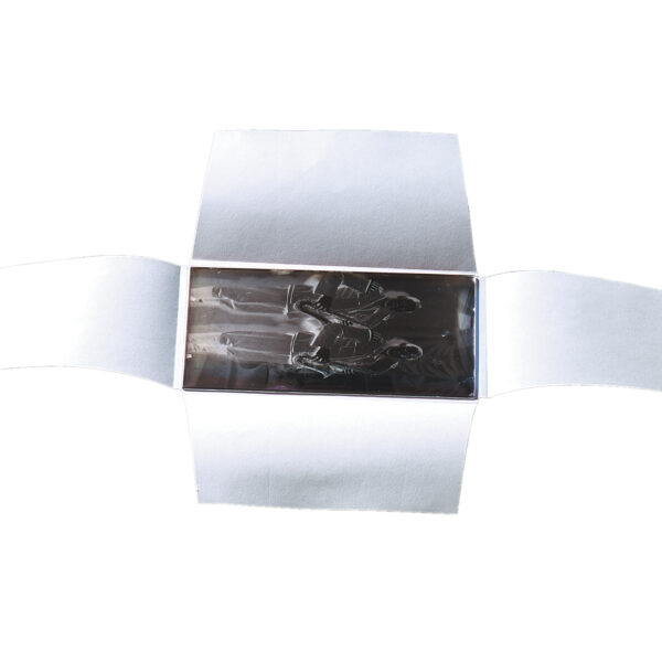 Archivbox 4-Flap – Περίβλημα τεσσάρων πτερυγίων για γυάλινες πλάκες & αρνητικά (4-Flap Enclosure)