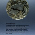 Kremer – Καρναουβικό κερί λευκασμένο (Carnauba Wax, bleached)