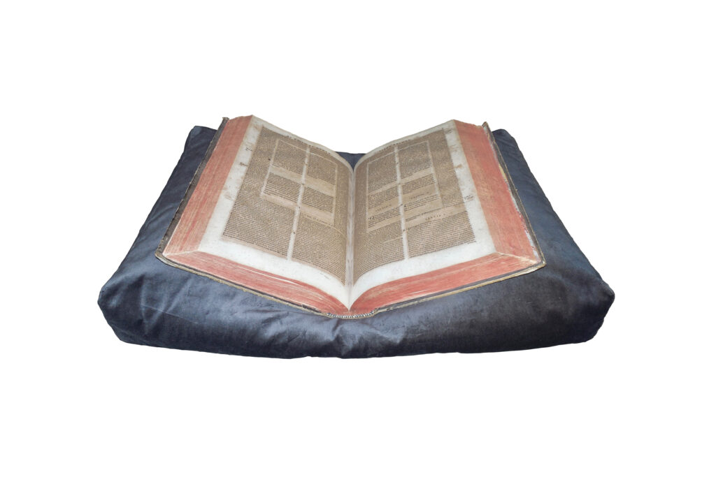 goodforbooks – Μαξιλάρια ανάγνωσης βιβλίων goodforbooks (Book Pillow)