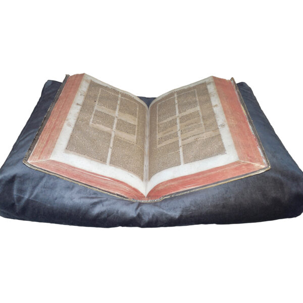 Archivbox goodforbooks – Μαξιλάρια ανάγνωσης βιβλίων goodforbooks (Book Pillow)