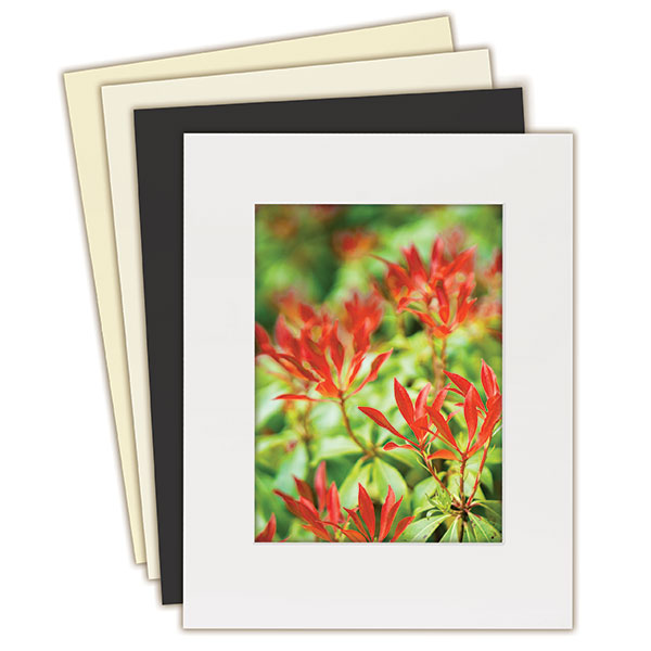Lineco Conservation Mounting Mat Board – Χαρτόνι πασπαρτού συντήρησης (alpha cellulose), 4 ply
