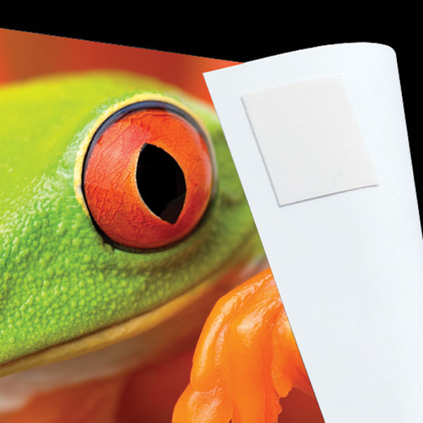 Lineco Infinity Photo Tabs – Αυτοκόλλητα τετράγωνα διπλής όψης για στερέωση