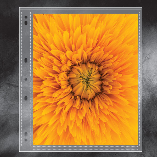 Lineco Polypropylene Photo Album Pages – Αρχειακές σελίδες πολυπροπυλενίου για φωτογραφίες & slides