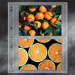 Lineco Polypropylene Photo Album Pages – Αρχειακές σελίδες πολυπροπυλενίου για φωτογραφίες & slides