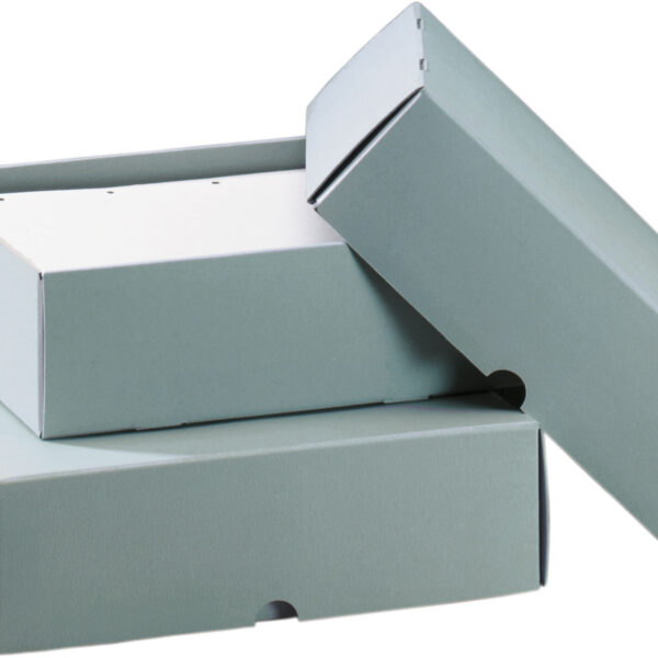Archivbox Loreley Premium Plus – Κουτί αρχειοθέτησης με καπάκι, ποιότητα Premium Plus (ISO 16245-A) (Storage Box with Lid – Premium Plus)