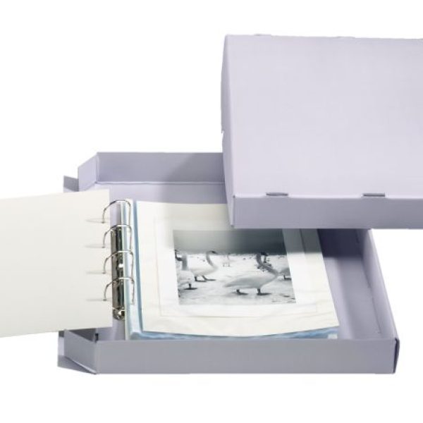 Reflex_Maxi_F2a_2000_800x800