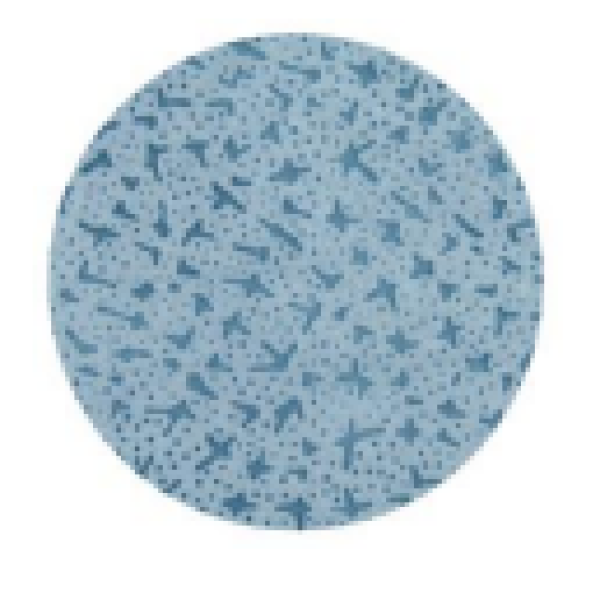 Screenshot 2025-06-03 173132